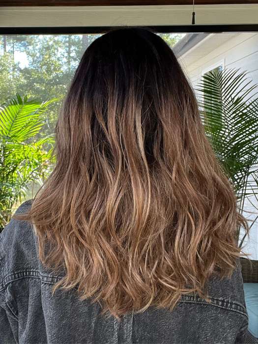 14219-balayage-beauty-synthetic-lace-front-wig-mono-top-9.jpg Balayage Beauty | Synthetic Lace Front Wig (Mono Top)