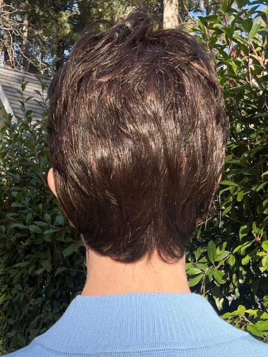 Estate | Synthetic Lace Front Wig (Mono Top)