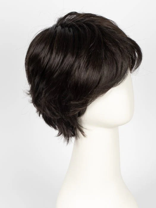 Raise | Synthetic Lace Front Wig (Mono Crown)