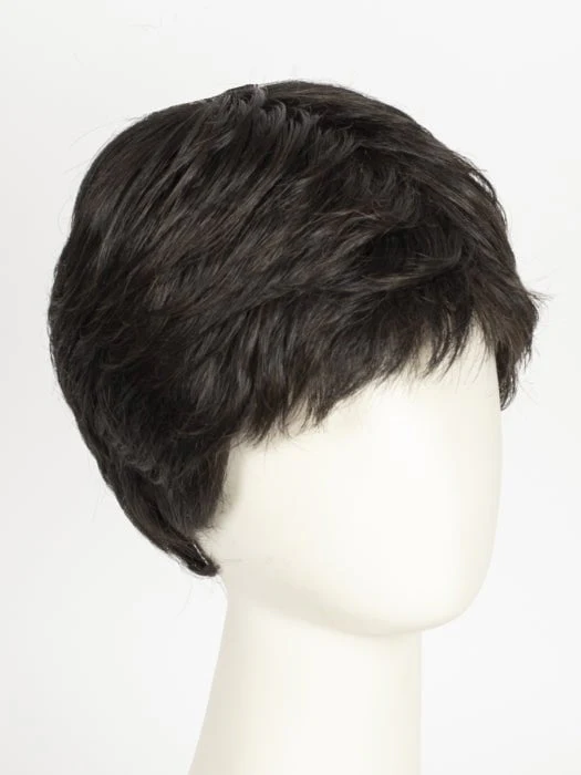 Straight Chic | Synthetic Lace Front Wig (Mono Crown)