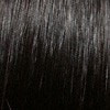 Dante | Synthetic Wig (Basic Cap) | DISCONTINUED