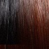 H-Lica | Human Hair Wig (Basic Cap) | DISCONTINUED