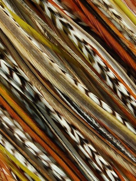 32849-hair-feathers-natural-hair-4.jpg Hair Feathers | Natural Hair