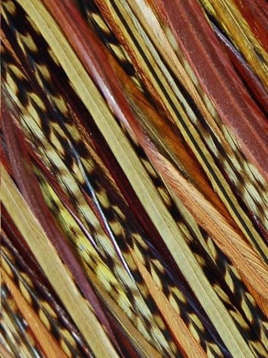 32849-hair-feathers-natural-hair-5.jpg Hair Feathers | Natural Hair