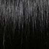 LFHH-Down | Human Hair Lace Front Wig (Basic Cap) | DISCONTINUED